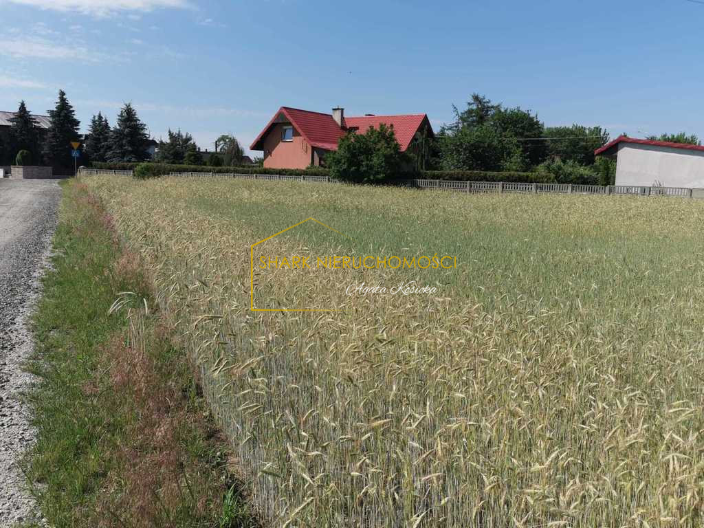 Działka Sprzedaż Golina