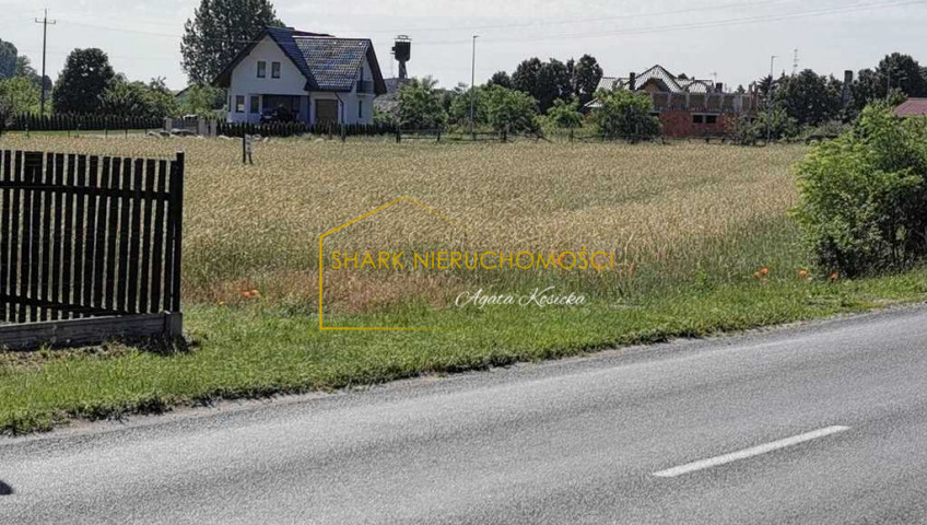 Działka Sprzedaż Golina